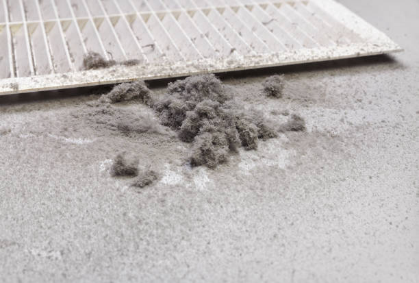 Ventilation Cleaning Services in Ravenel, SC